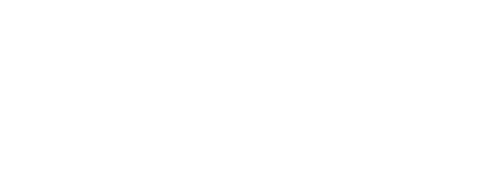 Insizwe