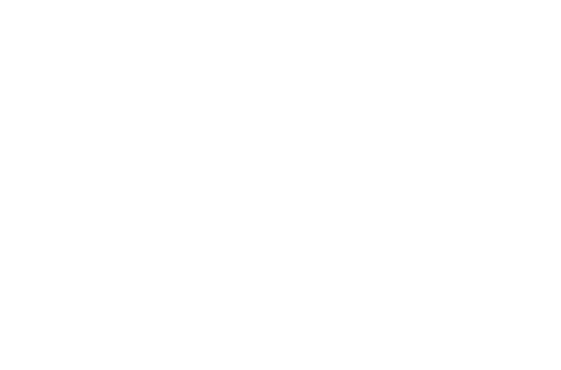 Zambeef