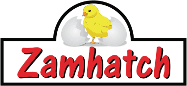 Zamhatch